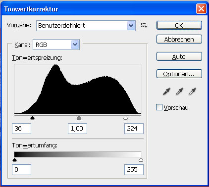 Mit einer Tonwertkorrektur (Strg + L) kann nun noch der Kontrast der Textur erhöht werden. Außerdem muss die Textur noch entsättigt werden (Strg + Umschalt + U). Blende nun alle Ebenen außer der Textur aus.